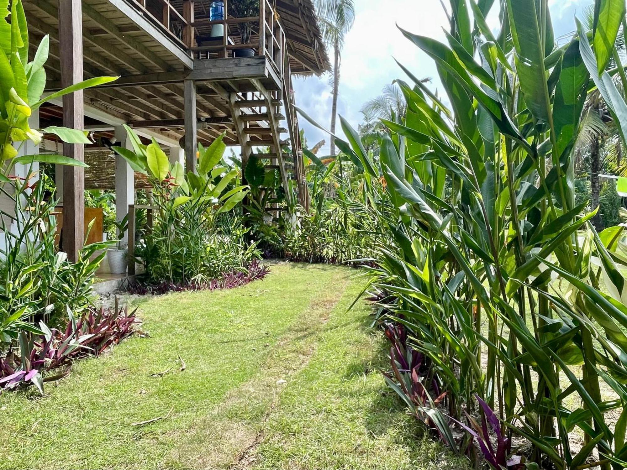 Siargao Sunflower Suites General Luna  Eksteriør billede